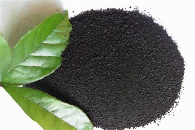 水产腐植酸钠的用途 黄腐酸和腐殖酸的区别