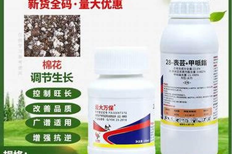 玉米药害用什么解药