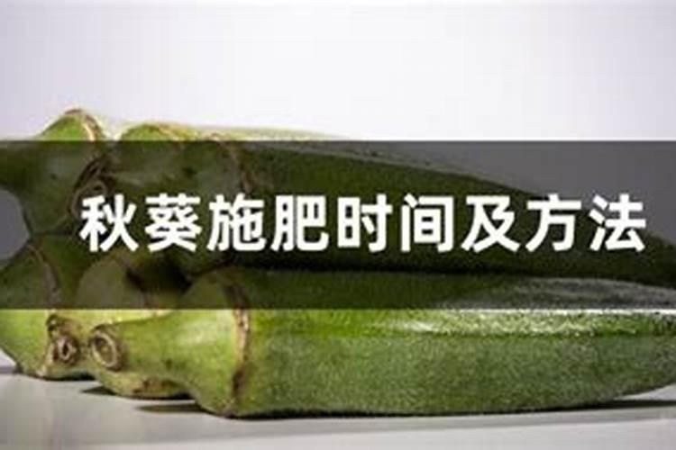 莴笋怎么施肥莴笋施肥规律