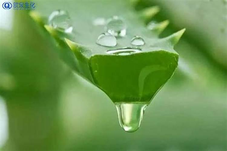 速效氮肥的主要成分