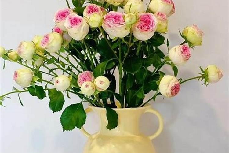 生根粉怎么用效果好