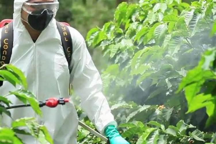 重庆哪里可以买达可挥