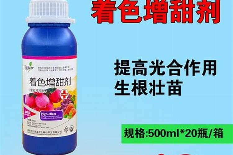 大蒜不浇水,种在土里,还能长出蒜苗吗？