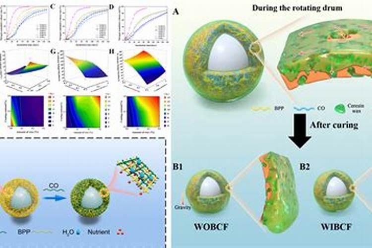 为什么要推广长效氮肥？目前长效氮肥有哪些类型？