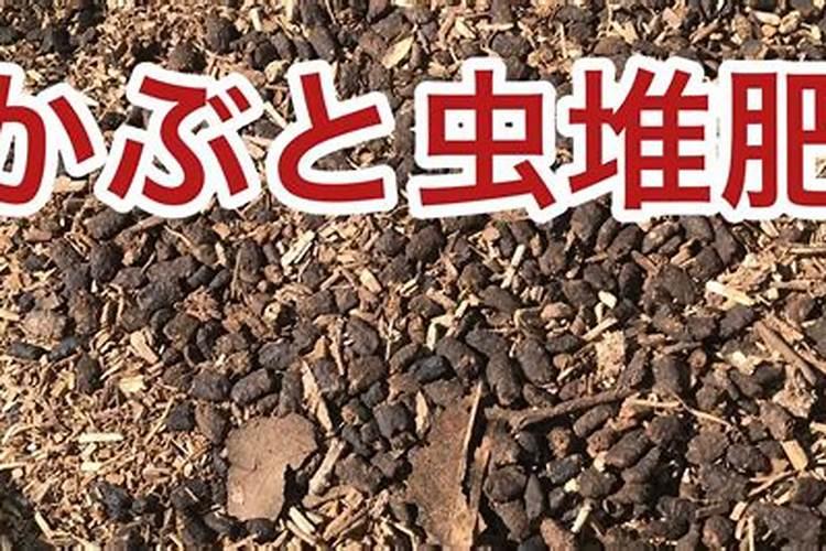 自制的肥料生蛆还能浇花吗？
