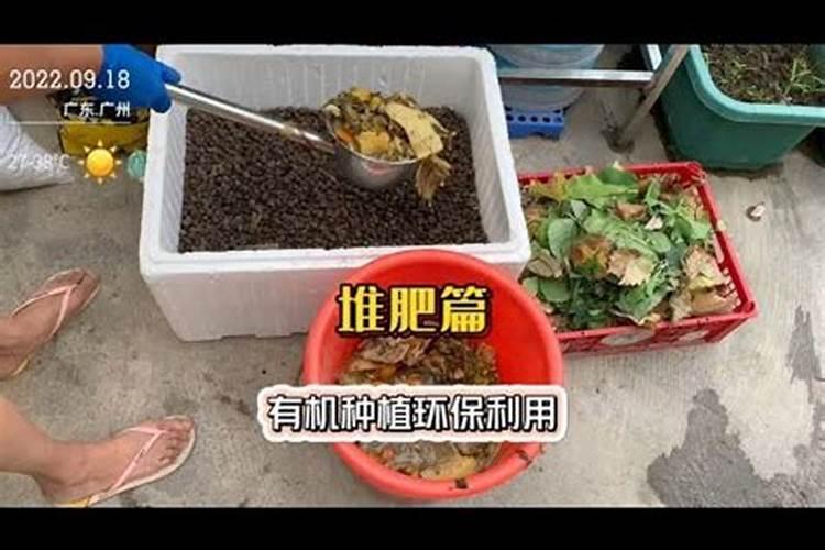 生了虫的大米做堆肥需要煮熟吗