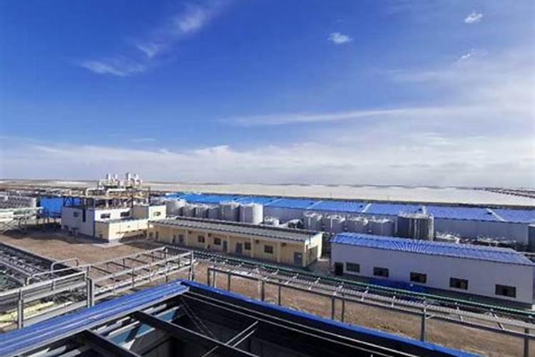 草莓地土壤板结怎么办