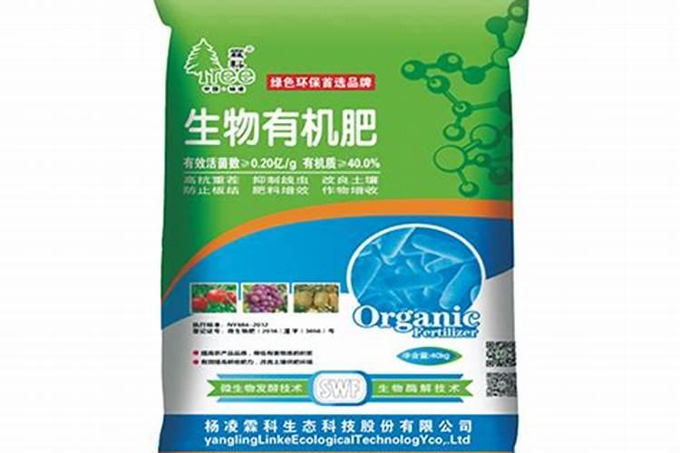 如何辨别甜菜的品质？
