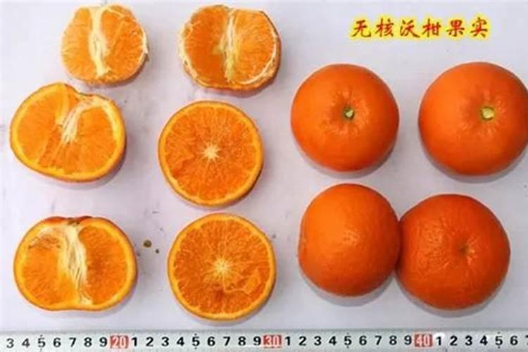 中化化肥十大品牌