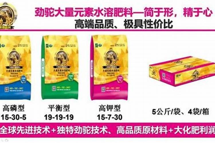 棉花补种的方法