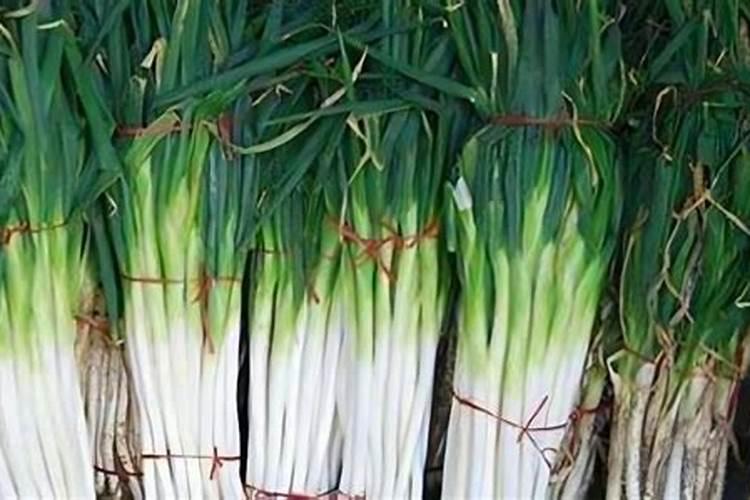 大葱叶面喷什么肥料好 用什么肥料长的快