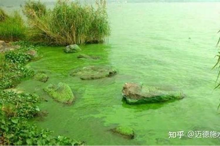 仓库中有一包化肥是一种白色晶体,小刚想弄清其成分,他取适量化肥样品进...