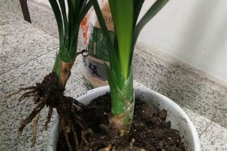 施可丰化工股份有限公司的发展历程