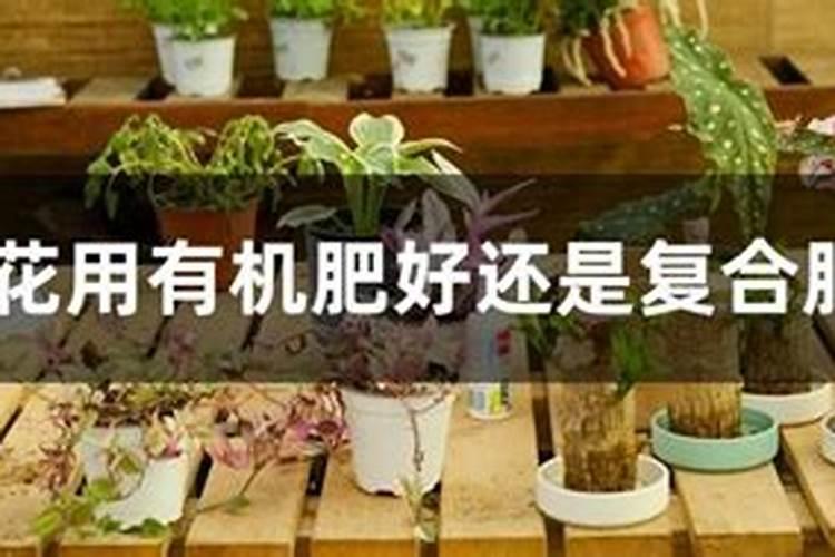 柴胡地追肥用什么肥料