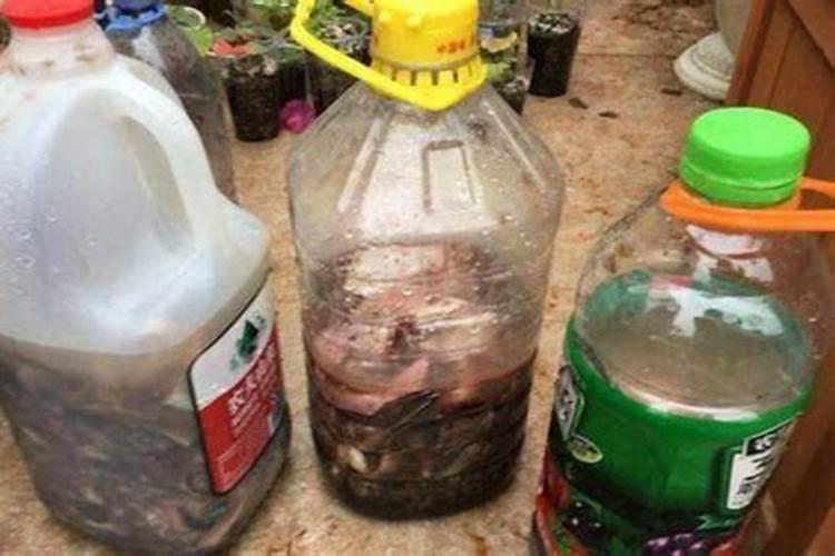 如何成就甘蔗的大丰收？