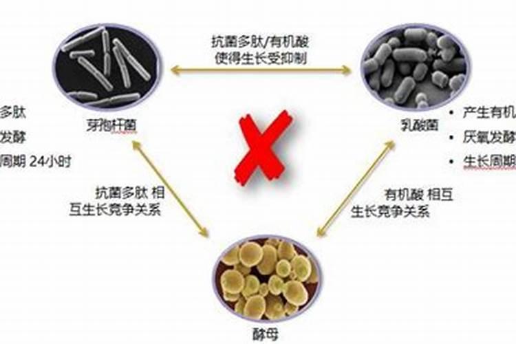如何结合薯类的营养特性进行施肥