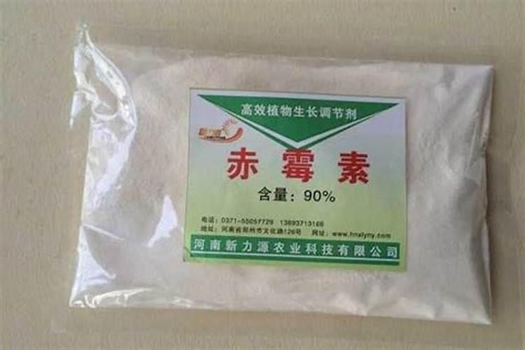 玉米大喇叭口期可以打芸苔素内酯吗