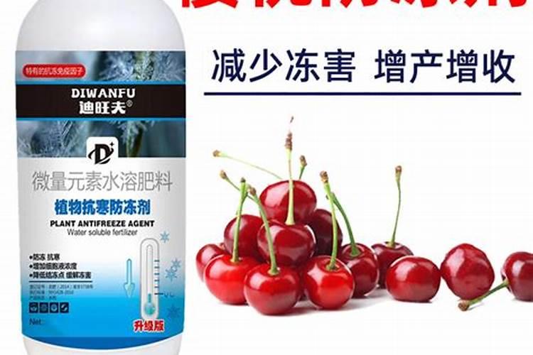 西瓜秧,这是什么毛病