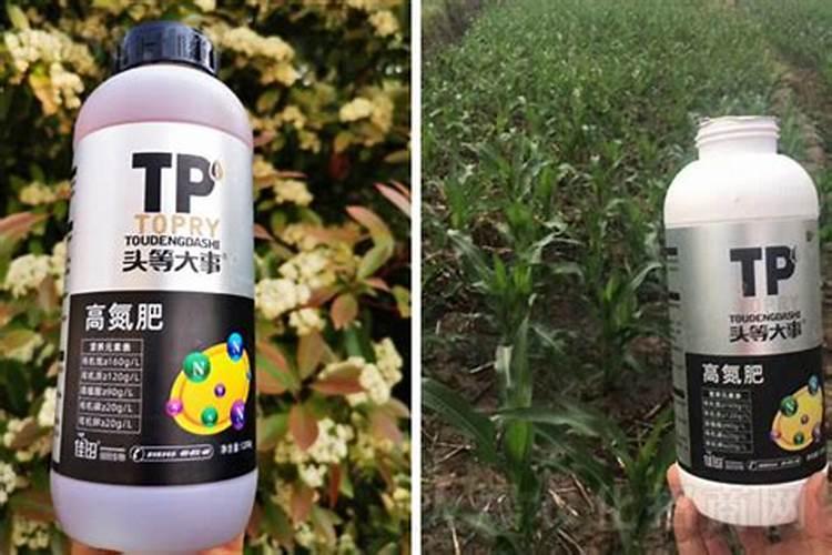 阳光玫瑰的施肥方案