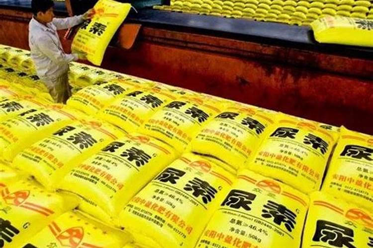 复合肥浇菜几天浇一次种菜什么时候放复合肥