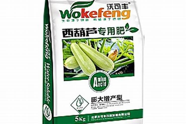 西葫芦畸形果的预防方法 出现畸形果怎么办