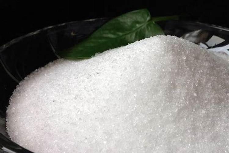 磷酸二氢钾怎么给长寿花施肥,施肥技巧