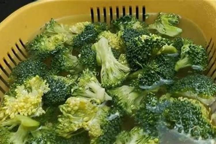 三角梅使用什么肥料爆长新根