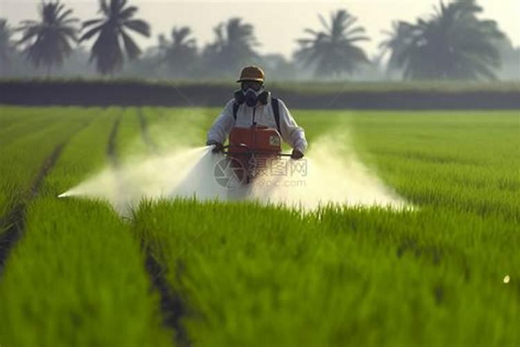 海藻肥哪个品牌的好