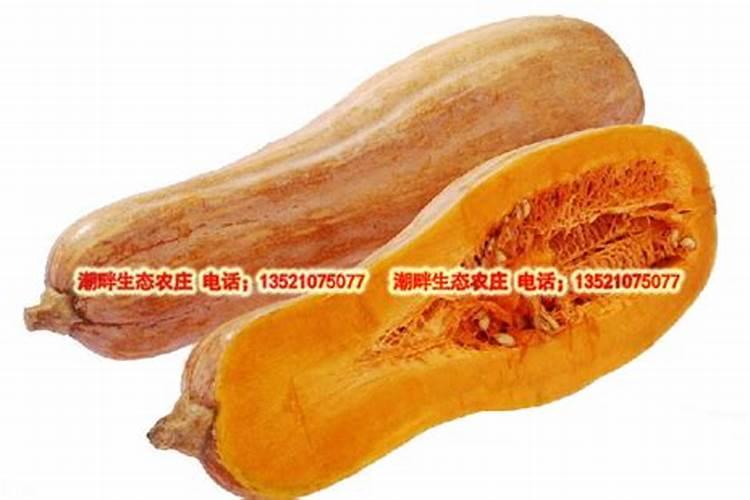 西瓜砂瓤是怎么回事