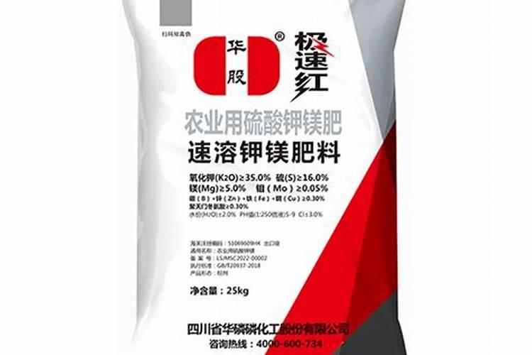 香瓜梨的栽植