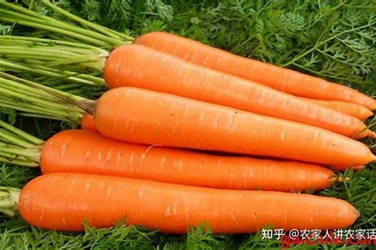 磷钾肥直接撒花盆里行不？