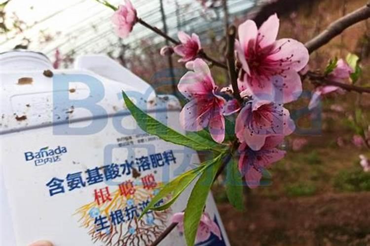 种红薯能用含氯化钾的肥料吗？有什么危害