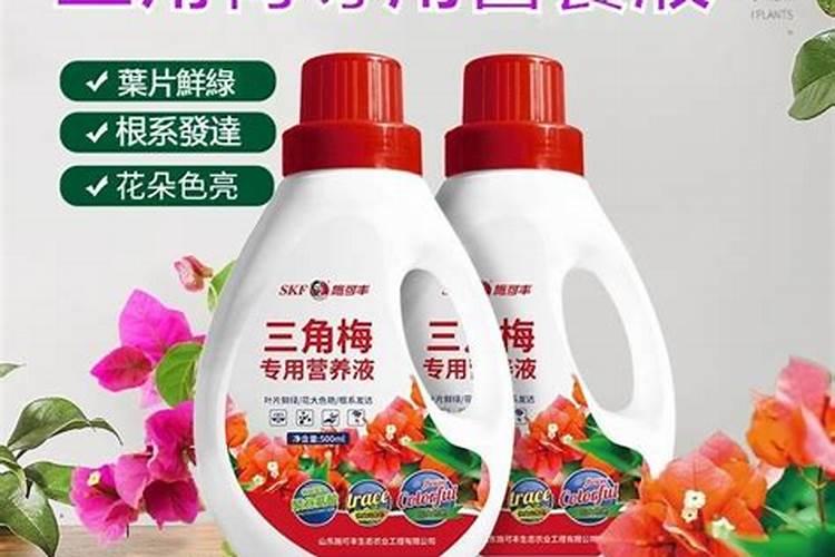 荔枝着色用调节剂好吗？