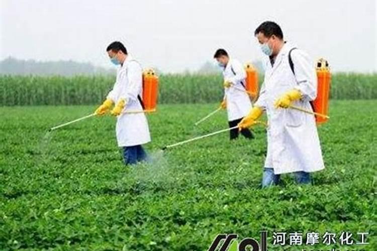 化肥农药好卖吗