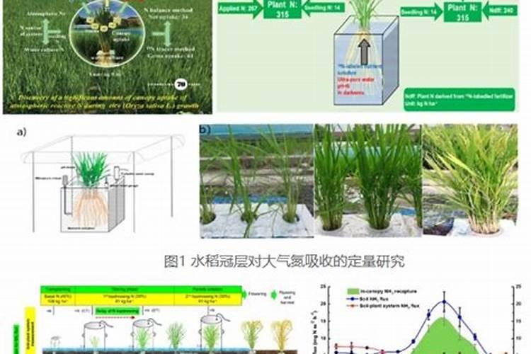 为什么要维持氮平衡？