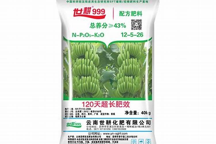 麦地里一种野菜叫什么