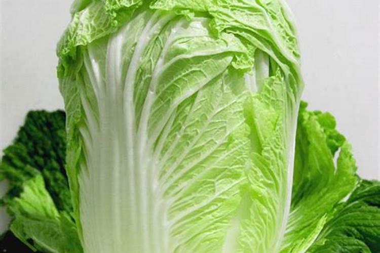 白菜最关键一次追肥时间