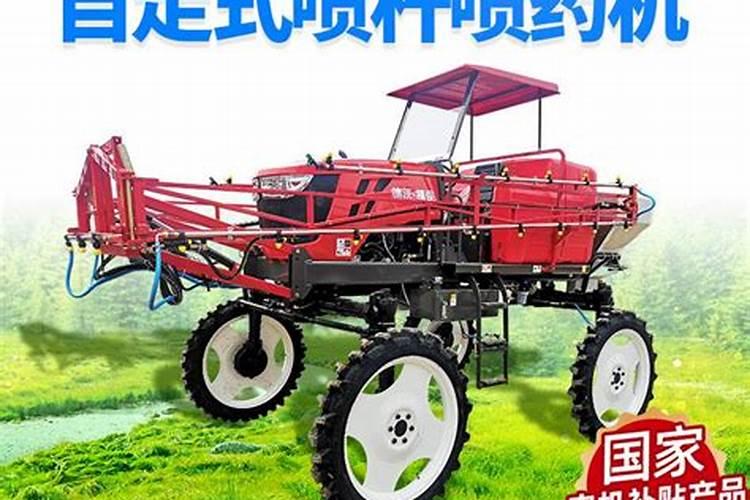 辣椒苗床期用什么肥料壮苗长得快