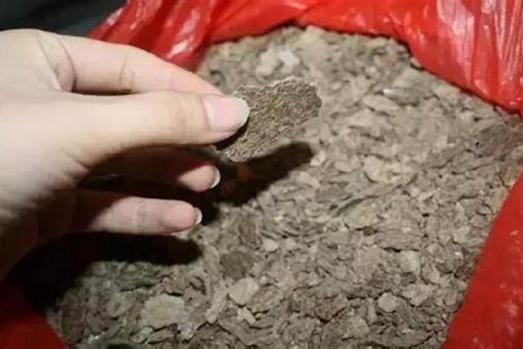 种植盆栽植物的营养,如氮磷的含量怎么控制