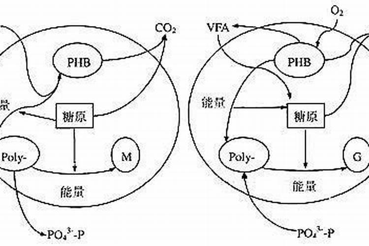 种菜上过磷酸钙怎么办