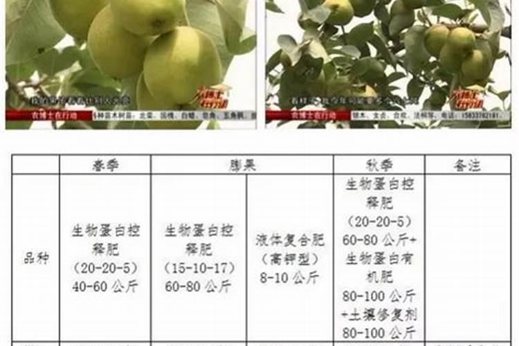 豇豆什么时候追肥合适 高产追肥方法