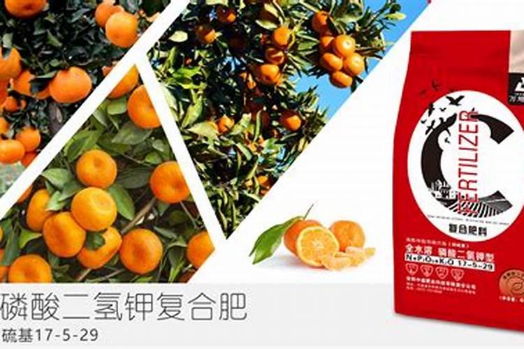 柑橘结果期专用增产叶面肥料？柑橘膨大期叶面喷什么好？