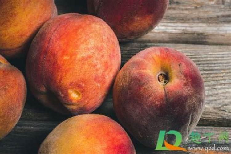 月季几天浇一次水最好