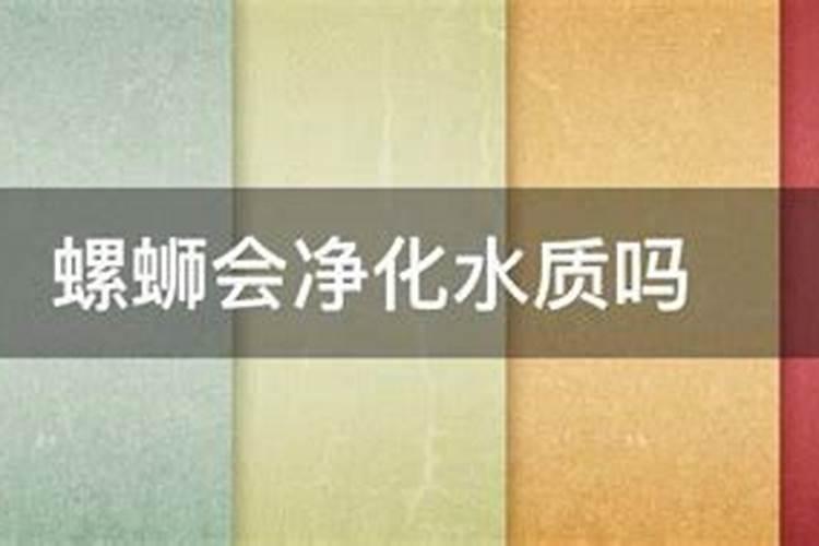 田螺怎么沤花肥？