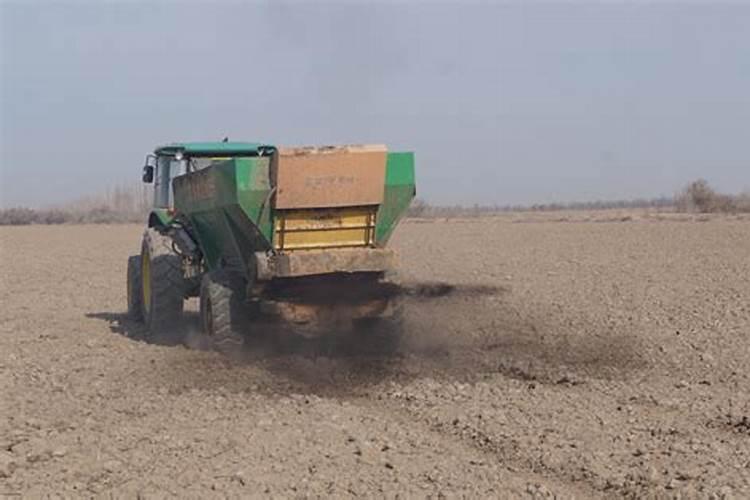 花生药肥什么时候撒好