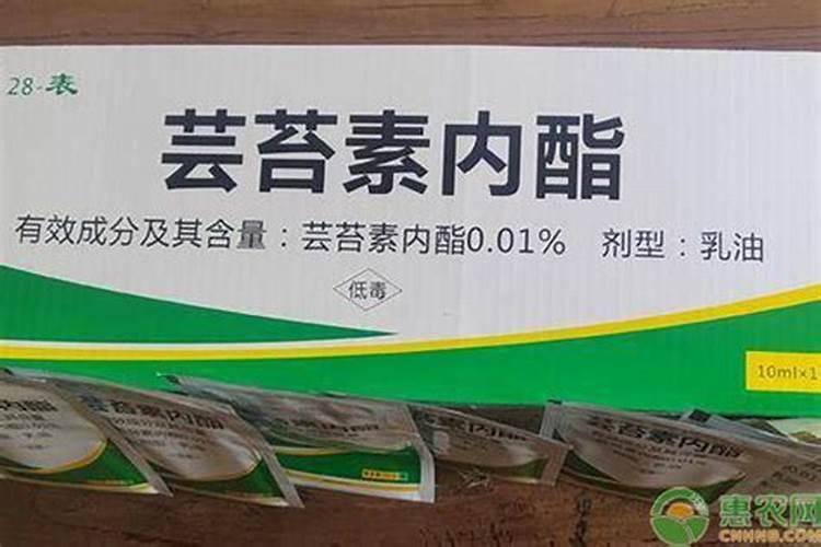 芸苔素使用技巧