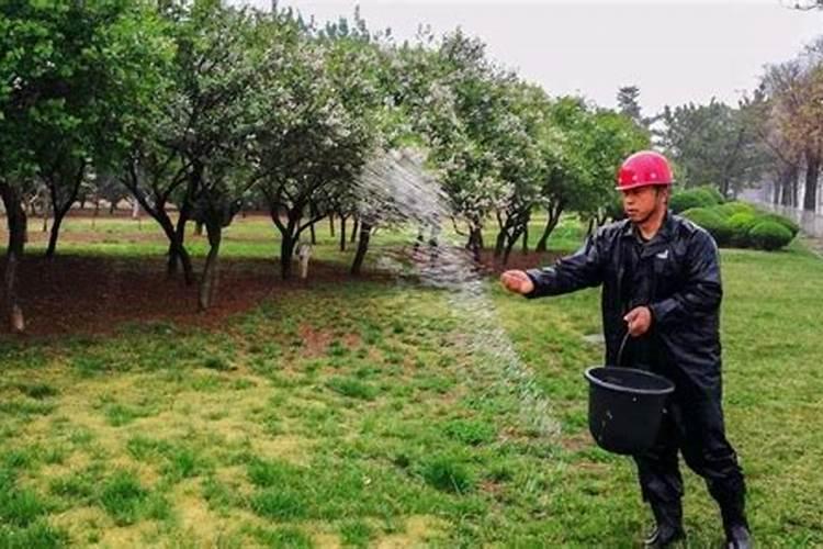 种植的树多久可以施肥 树木种植后何时施肥最合适？