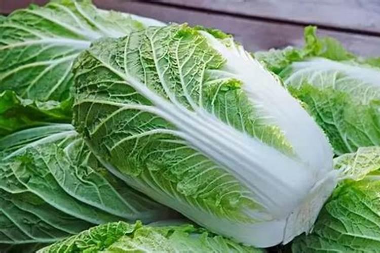 蓝莓肥害怎么办 有哪些预防措施