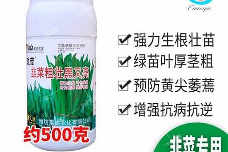 丝瓜浇什么肥料合适