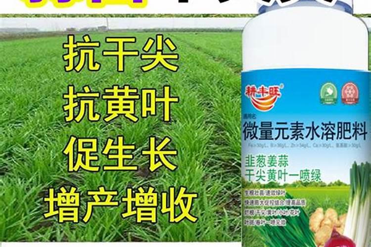 沙质土适合种植什么